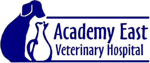 Academy East Veterinary Hospital Home